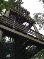 Herausforderung am Turm des Kletterparks